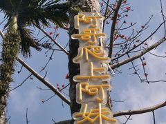 -海南槟榔谷黎苗文化旅游区
