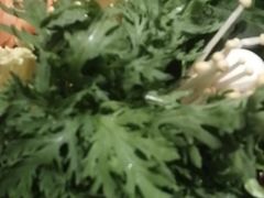 -掂档潮汕牛肉火锅(沈阳万象城店)