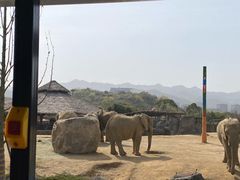 -杭州野生动物世界