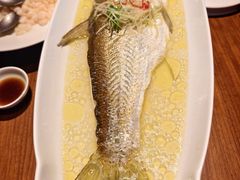 -苏帮袁Sue Cuisine(将台店)