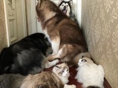 -易生活购物公园