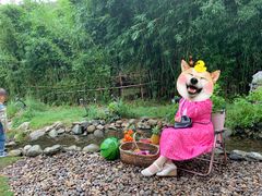 -HERRE·FARM 赫尔露营农场·团建聚会包场