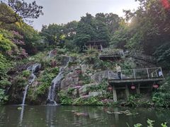-青青世界