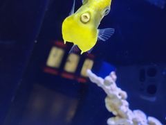 -上海海洋水族馆