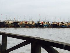 -沈家门海鲜夜排档38号(滨港路店)