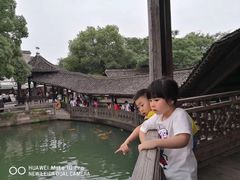 -都江堰中华大熊猫苑