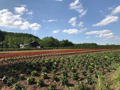 -富田农场