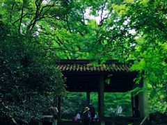 -宋宴(虎跑店)