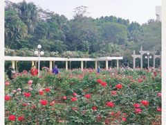 -人民公园(罗湖区)