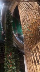 -奇幻丛林(佛罗伦萨小镇店)