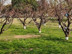 -汉长安城未央宫国家考古遗址公园