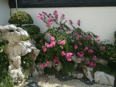 android_upload_pic-檀园