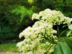 -南山风景名胜区