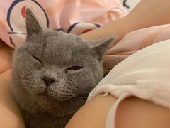 -客栈猫舍(中央北路店)