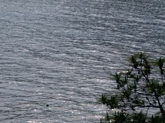 -宁波松兰山滨海旅游度假区
