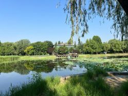 -北京新世纪妇幼医院·产检·分娩·计生(望京院区)