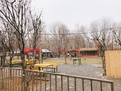 -1982农场