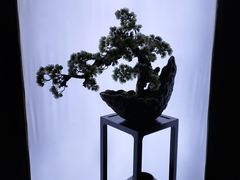 -滇铺子(欣都龙城店)