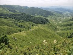 -空中草原