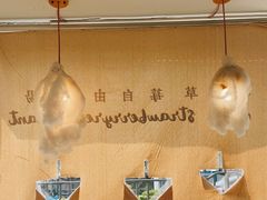 -野草莓自由市场