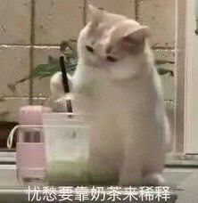 -CoCo都可(福州宝龙广场店)