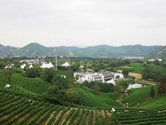 -帐篷客·溪龙茶谷度假酒店