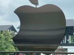 -Apple零售店(成都太古里店)