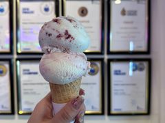 -Dooley's Premium Ice Cream