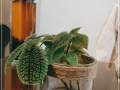 -PAUSE CAFE(南秀村店)