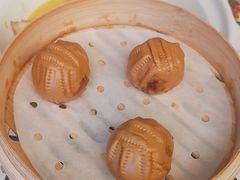 -唐猫庭院·千年陕菜(大唐不夜城店)