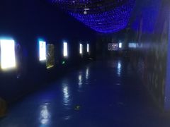 -重庆欢乐海底世界