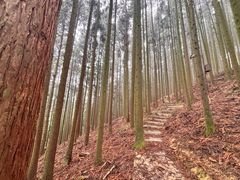 -山王坪喀斯特国家生态公园