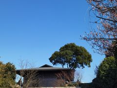 -天目湖涵田半山温泉