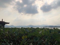 -湖畔居茶楼(湖滨店)