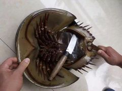 -浪琴湾尾角仔海鲜坊