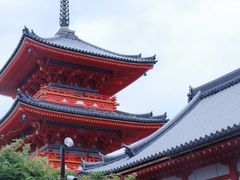 -有栖山 清光院 清水寺