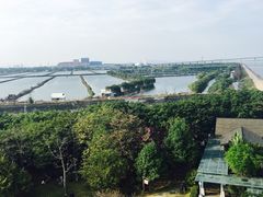 -大湾区中央湿地公园