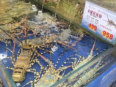 -东江海鲜酒家(艺都分店)