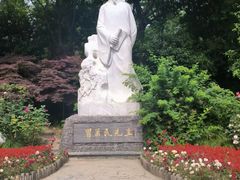 -水绘园