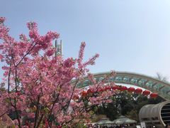 -南山植物园