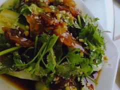 老醋黄瓜拌蛰头-87号烧烤海鲜·大排档(金沙滩店)