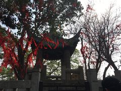 -云龙山