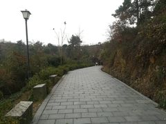 -峙山公园