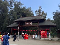 -大京沙滩