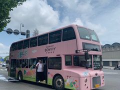 -武汉关码头(轮渡站)