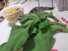 -董记老清泉·鲜切涮羊肉(窑岭店)
