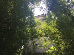 -开平碉楼文化旅游区马降龙景区
