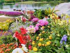 -武汉园博园(武汉自然博物馆)