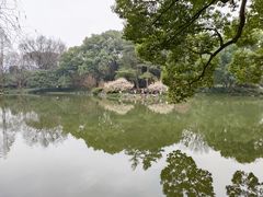 -杭州植物园