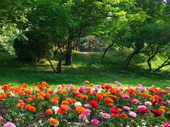 -香山公园